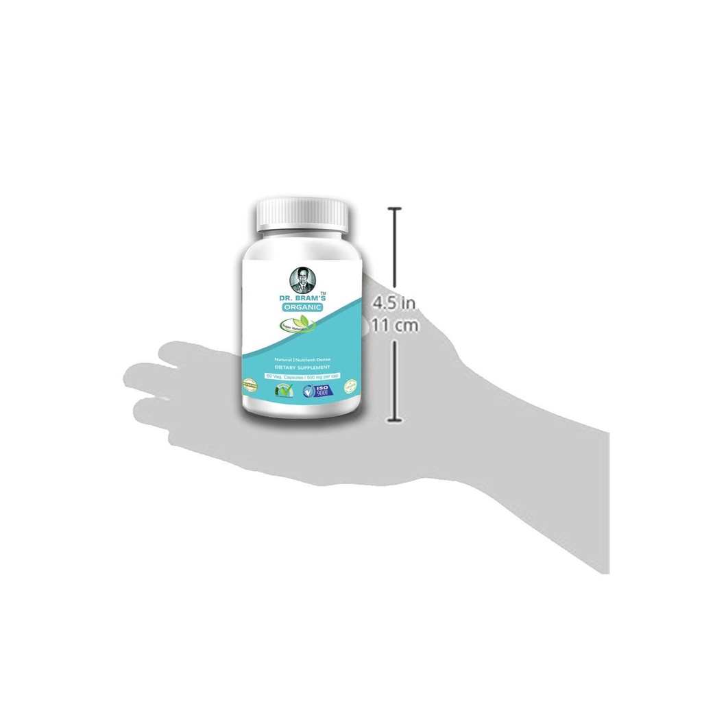 dr-bram-s-organic-blessed-thistle-herb-e-51FuzxjVgnL.jpg