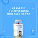 meadbery-multivitamin-calcium-combo-gumm-61JpjNh9JNL.jpg