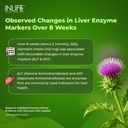 inlife-milk-thistle-supplement-600mg-80--819o4ps-cJL.jpg