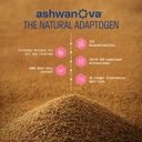 nature-thought-stress-ease-advance-formu-716P-O77v2L.jpg