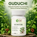 pure-nutrition-guduchi-tablets-giloy-tab-81MR1nfeKoL.jpg