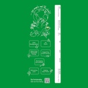 te-a-me-green-tea-100-bags-green-tea-100-61CbNE+qORL.jpg