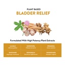 prostate-capsules-10-herbal-ingredients--71PyyPVIseL.jpg