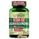 vlado-s-himalayan-organics-liposomal-ash-7104CIR8DCL.jpg