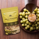 saptamveda-amla-indian-gooseberry-powder-71VngNSOUmL.jpg