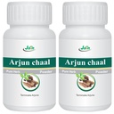 jain-arjun-ki-chaal-power-1kg-arjuna-pow-81RHQERJWrL.jpg