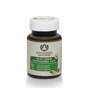 maharishi-ayurveda-giloy-ghan-vati-natur-51FgEoSgJ1L.jpg