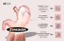zincasin-leewell-pure-zinc-carnosine-120-61Q3uJx-3gL.jpg