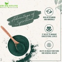 shudh-online-spirulina-powder-organic-20-81smec4d4zL.jpg