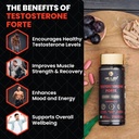 healeo-testo-forte-12-in-1-testosterone--81UK8T47XVL.jpg