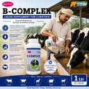b-complex-vitamin-b-vitamin-b-tonic-for--71ZYDrZBuaL.jpg
