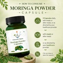 moringa-capsules-500-mg-60-vegan-capsule-71ECtAVtzSL.jpg
