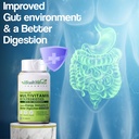 health-veda-organics-multivitamin-with-p-81w8ExHYoBL.jpg