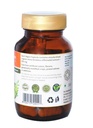 sitaram-ayurveda-amla-capsule-ayurvedic--61VjRxnrTvL.jpg