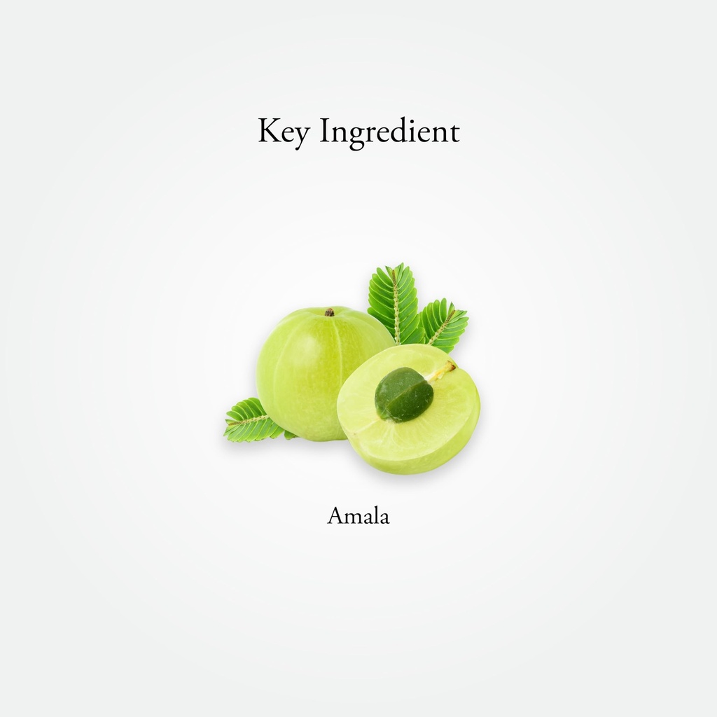 sitaram-ayurveda-amla-capsule-ayurvedic--610nt9VovJL.jpg