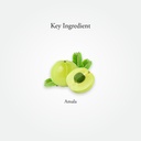 sitaram-ayurveda-amla-capsule-ayurvedic--610nt9VovJL.jpg