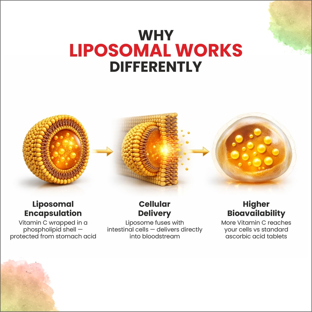 liposomal-vitamin-c-capsules-80mg-high-a-71qA0OGti8L.jpg