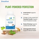 steadfast-nutrition-multivitamin-multi-m-71XTYTL1mtL.jpg