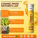 the-body-reserve-natural-vitamin-c-amla--818n8Y4VTPL.jpg