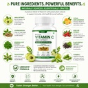 vitamin-c-capsules-with-amla-extract-ant-71GeG6pjmlL.jpg