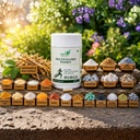 multivitamin-women-capsules-daily-multiv-71ZBeKCKpcL.jpg