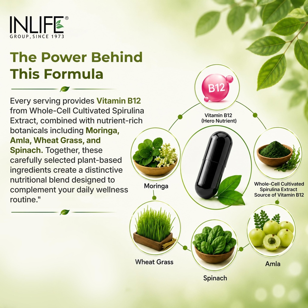 inlife-plant-based-vitamin-b12-supplemen-81PmycB7blL.jpg