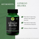 ginkgo-biloba-vegetarian-capsules-ease-s-617d5b7IeaL.jpg