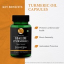 haldi-oil-vegetarian-capsules-fish-oil-d-61g9ErbRsHL.jpg