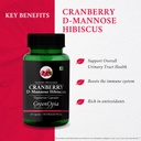 haldi-oil-vegetarian-capsules-cranberry--61LBqx0yGoL.jpg