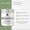 moringa-oleifera-powder-haldi-oil-vegeta-61bh8+YXPNL.jpg