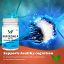 vitaruhe-huperzine-a-200mcg-metacaps-nac-71+HdG9t5cL.jpg