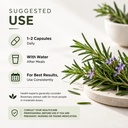 rosemary-extract-capsules-vegetarian-cap-614Mq3ML5JL.jpg
