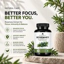 rosemary-extract-capsules-vegetarian-cap-71qnQtPdOvL.jpg