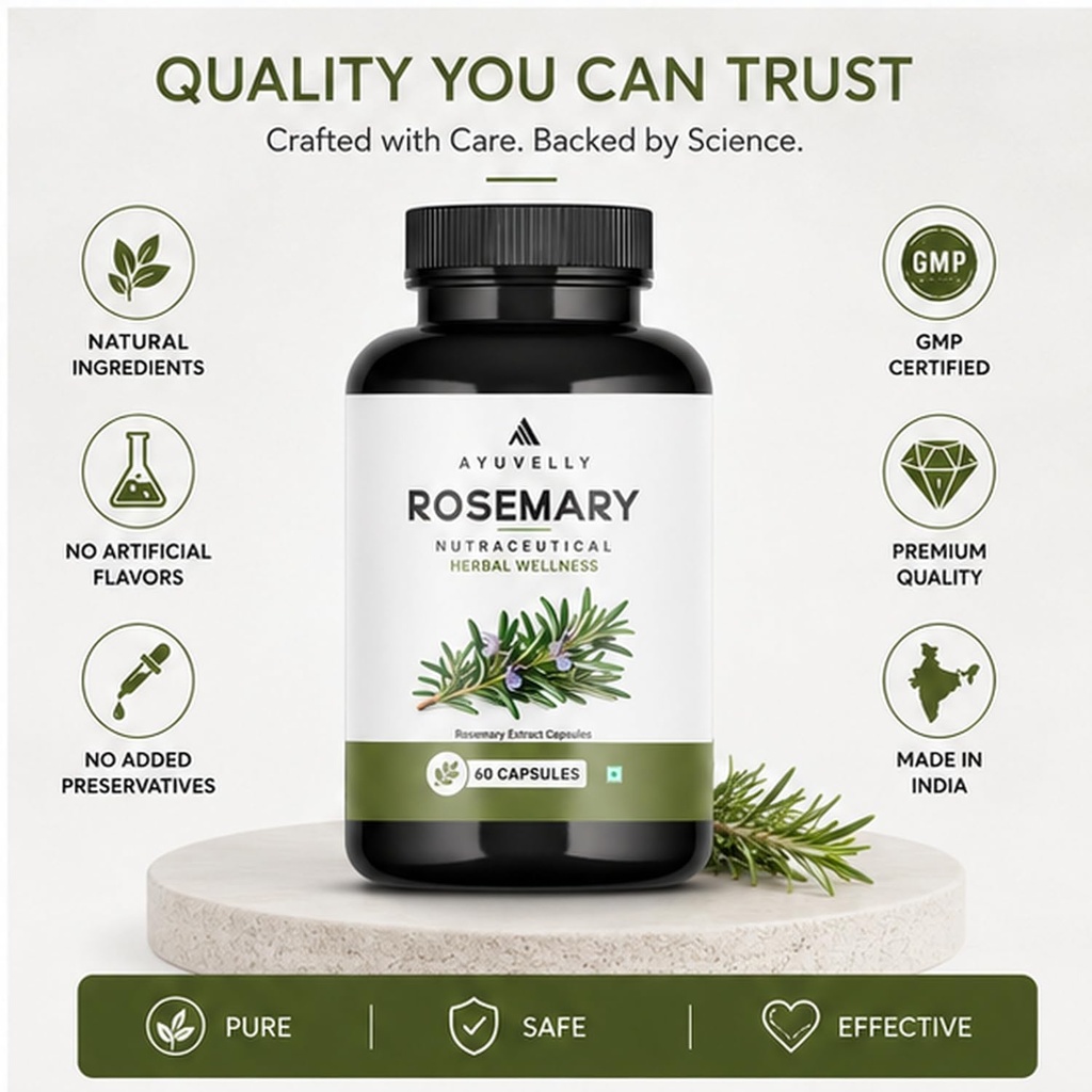 rosemary-leaf-extract-vegetarian-capsule-61Hgxsw6TNL.jpg