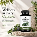 rosemary-leaf-supplement-capsules-veg-ca-71Olt0DUvsL.jpg