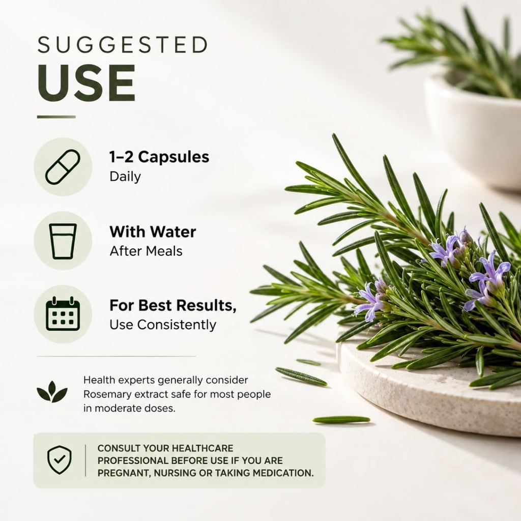 rosemary-leaf-supplement-capsules-veg-ca-614Mq3ML5JL.jpg