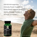 ashwagandha-ksm66-pumpkin-oil-wellness-d-71J7kXLMWcL.jpg