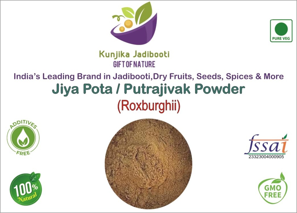 putrajeevak-beej-powder-putrajivak-seed--612AbOj-2JL.jpg