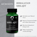 berberine-hcl-shilajit-wellness-daily-vi-61IBxXn5i-L.jpg