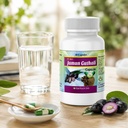 jamun-guthali-extract-capsules-500mg-sup-71OFFMnTP3L.jpg