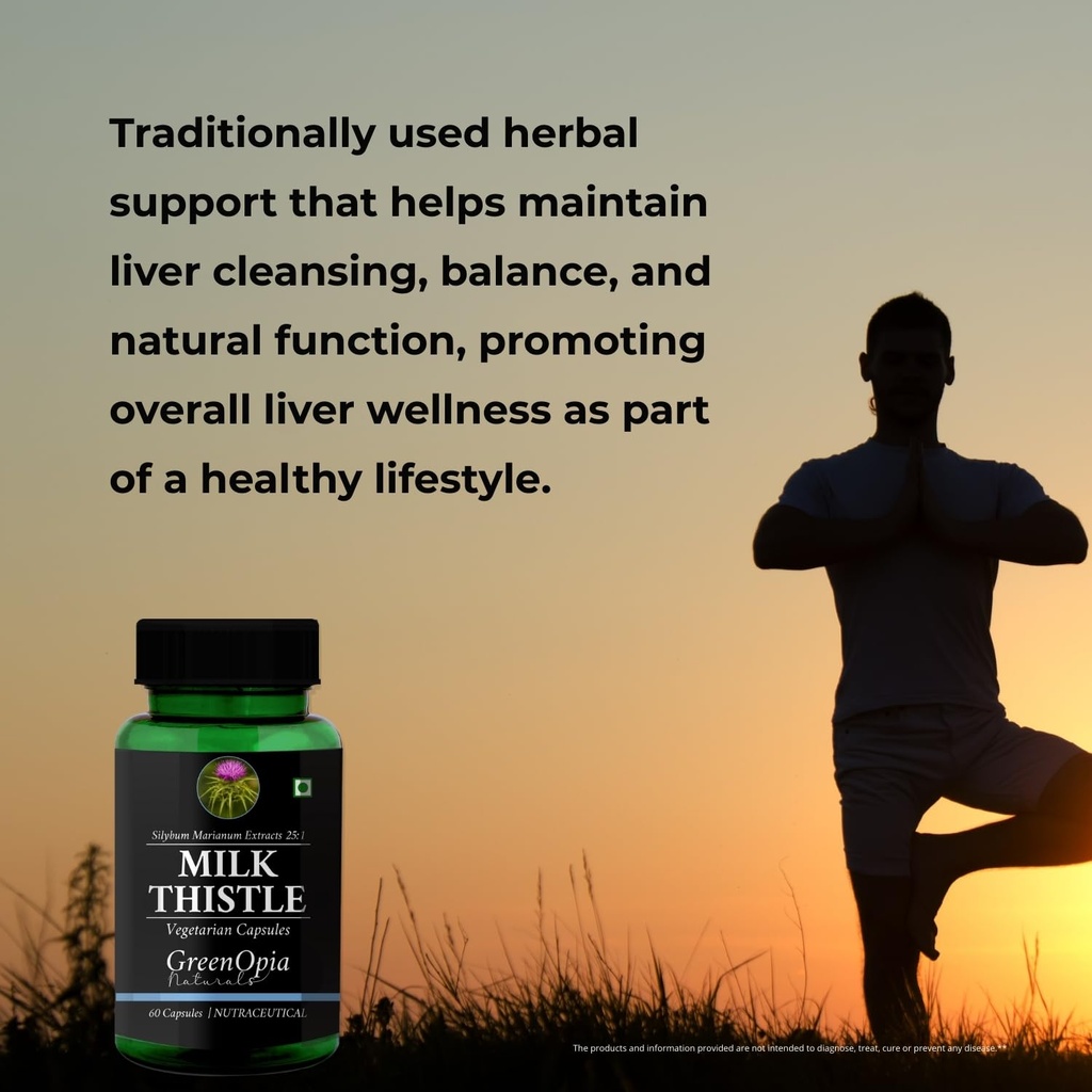 l-carnitine-1-milk-thistle-vitamin-c-dai-615Aq-Ukv2L.jpg