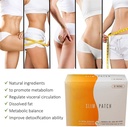 slimming-patch-two-choices-magnet-weight-71dRVUuDWmL.jpg