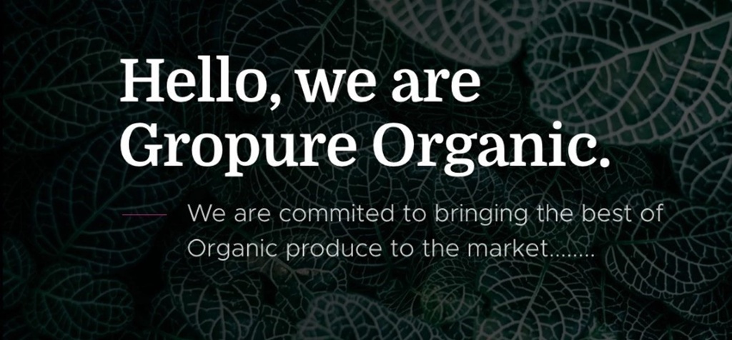 gropure-organic-hemp-hearts-flax-chia-se-71BYUSFLOTL.jpg