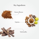 sitaram-ayurveda-ta-tablet-natural-iron--81yuSvylixL.jpg