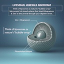 beastlife-liposomal-zma-zinc-magnesium-a-61y3UjkN8gL.jpg