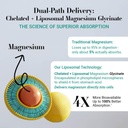 mag8x-magnesium-glycinate-2000mg-8-chela-61g1+eSN6TL.jpg