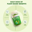 dr-morepen-calcium-plant-based-omega-3-6-71QEGo1jpIL.jpg