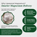 vlado-s-himalayan-organics-magnesium-com-71ZvMQjKJkL.jpg