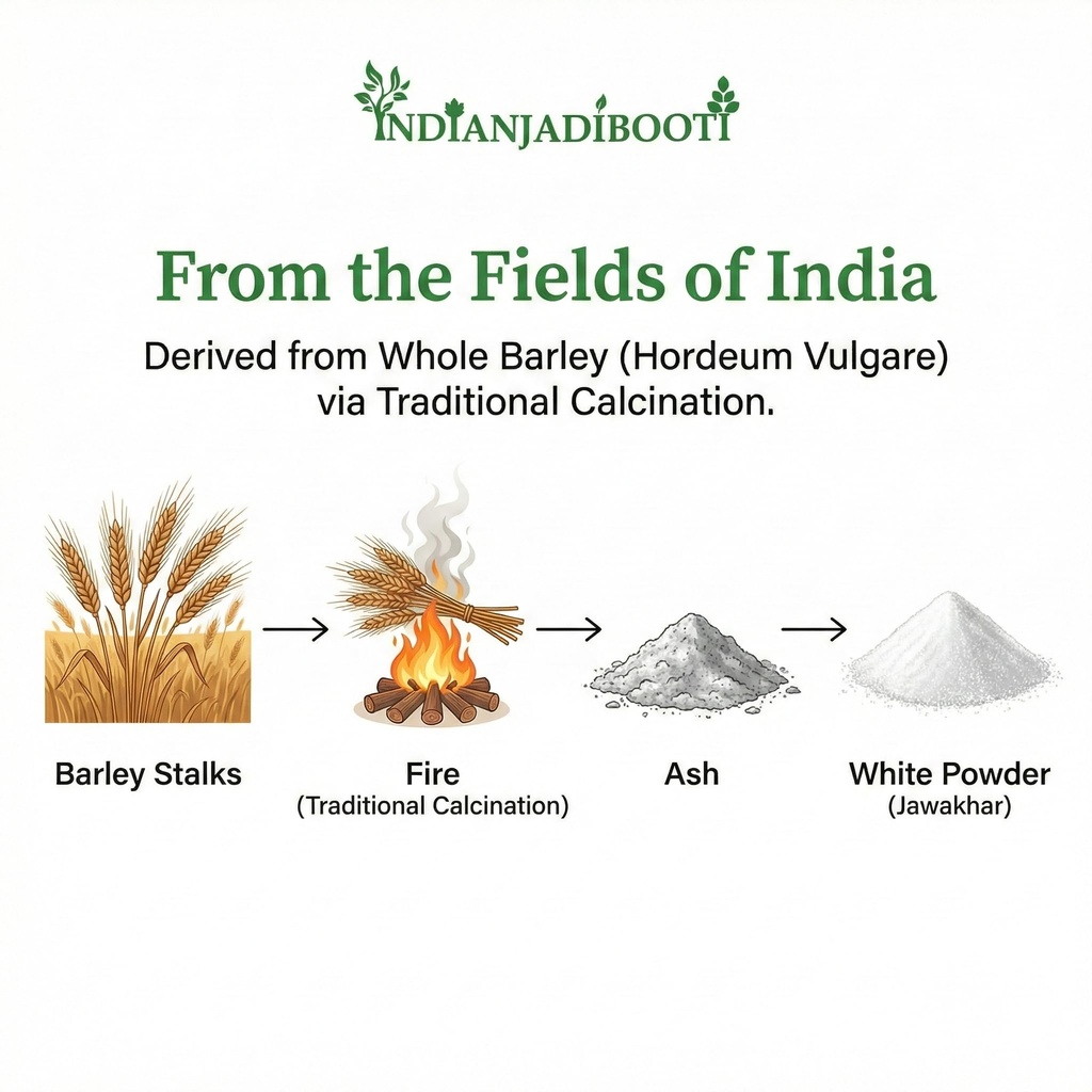 indianjadibooti-jawakhar-powder-yavaksha-71FoVOmgWmL.jpg