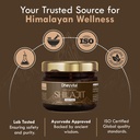 pure-himalayan-shilajit-resin-20g-75-ful-81PZsxjzprL.jpg